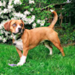 Meet your Posher, Lucy